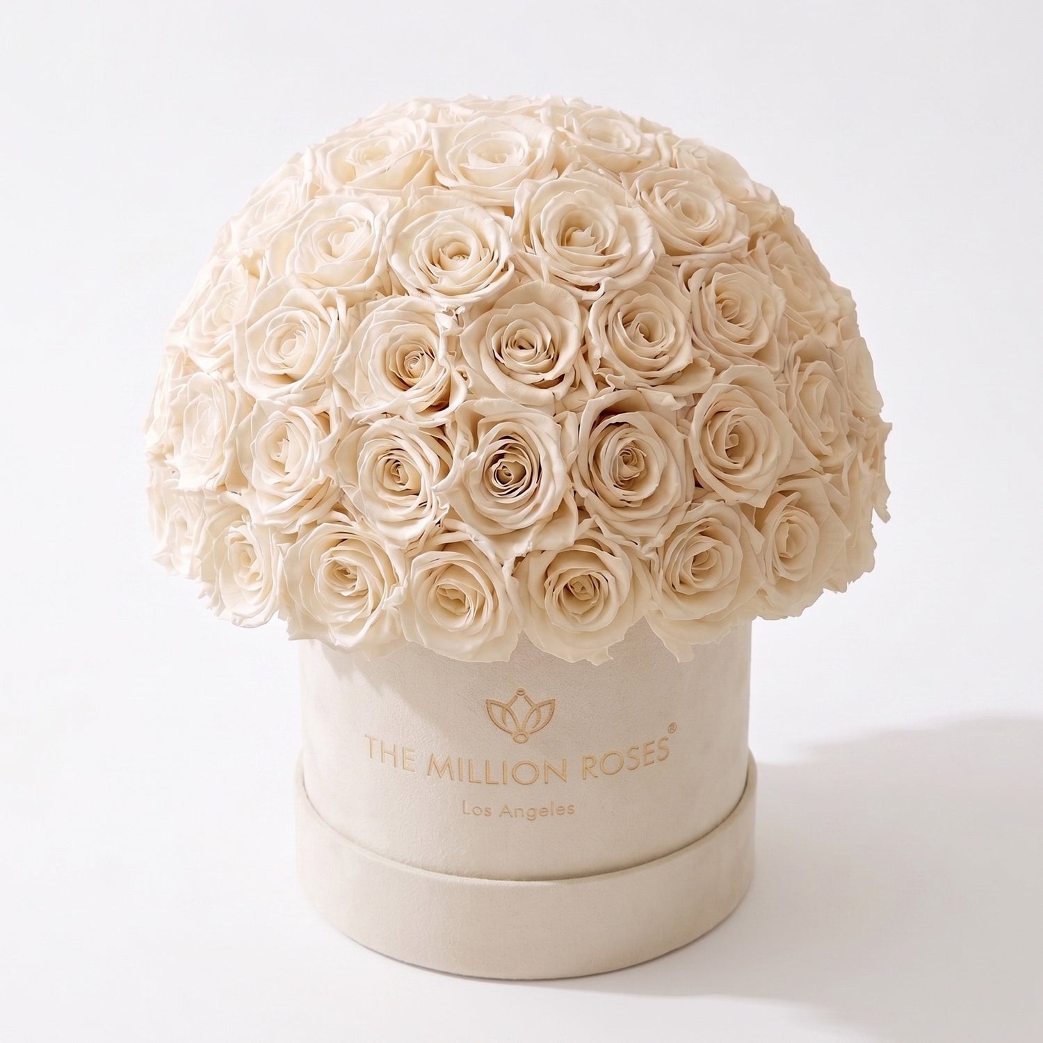 The Million Roses