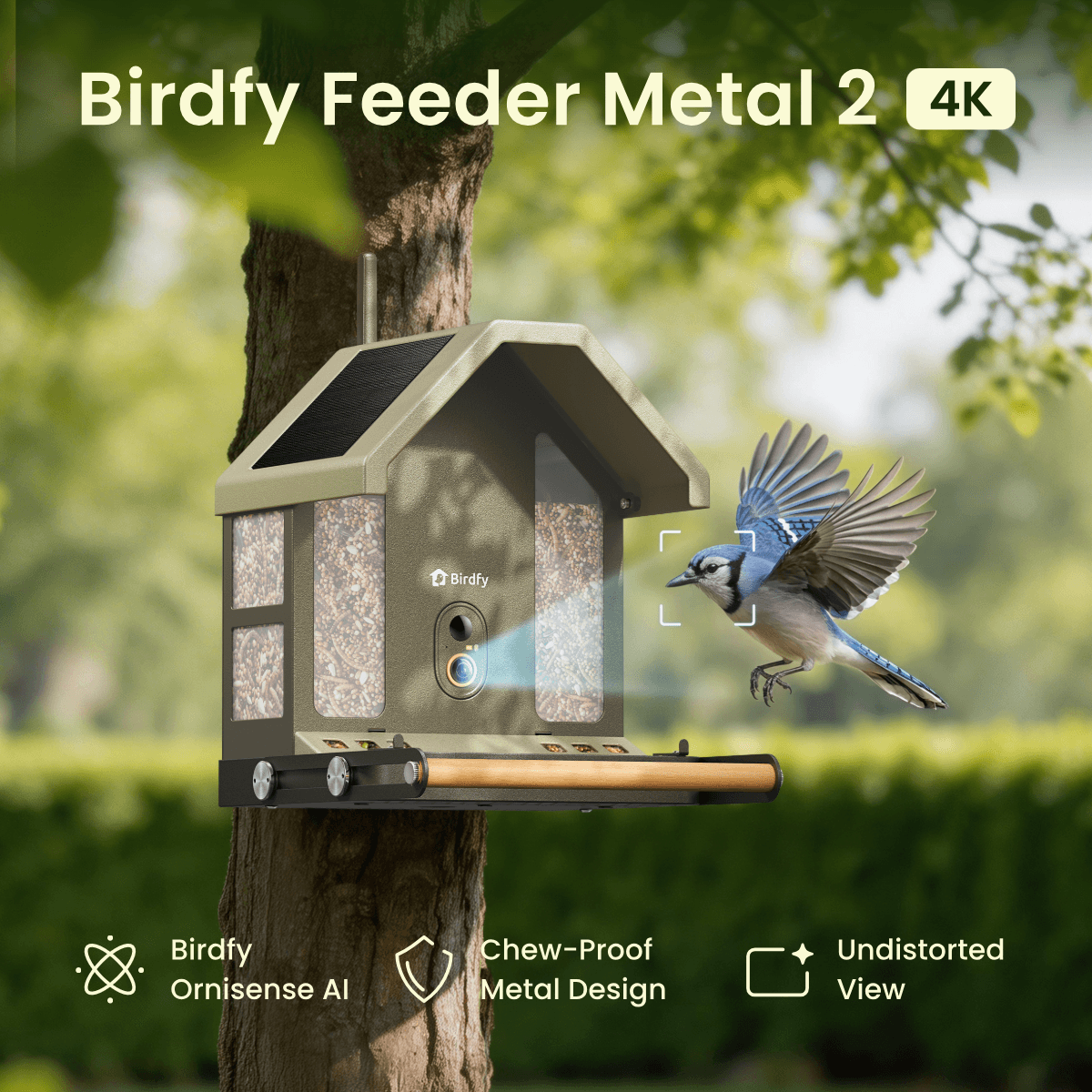 Birdfy Feeder Metal 2 4K - Smart Metal Feeder with Camera