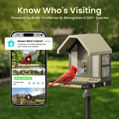 Birdfy Feeder Metal 2 4K - Smart Metal Feeder with Camera