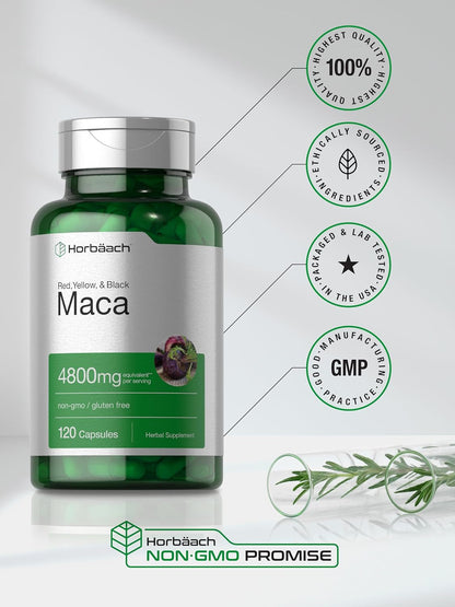 Maca Root Capsules for Men and Women | 120 Pills | High Potency Extract | Non-Gmo and Gluten Free Formula