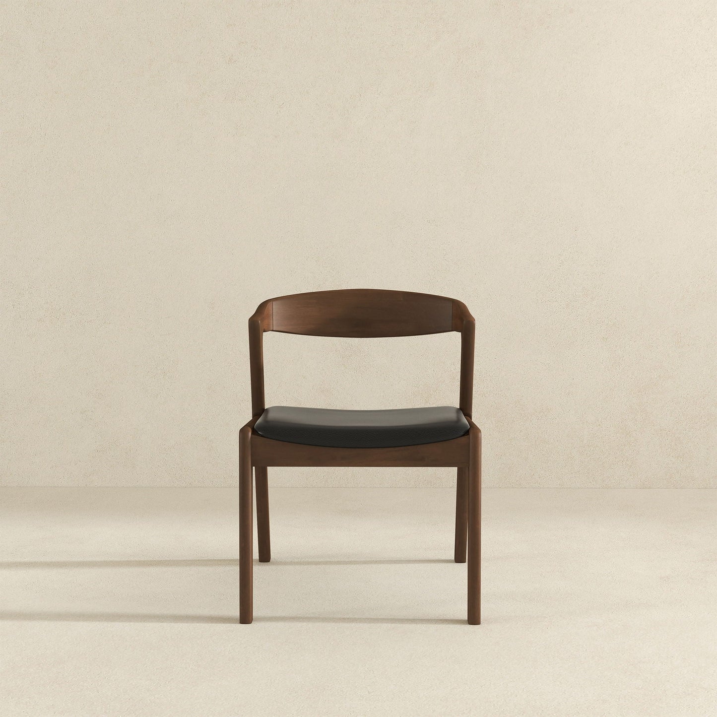 Dakota - Mid-Century Modern Dining Chair (Set of 2)