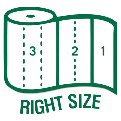 Seventh Generation 100% Recycled Paper Kitchen Towel Rolls, 2-Ply, 11 x 5.4, 156 Sheets/Roll, 24 Rolls/Carton