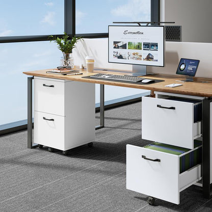 2-Drawer File Cabinet,Rolling File Cabinet with Locking Casters,2 Drawer Storage for A4 & Letter Size,Mobile Organizer for Home Office and Dorm Room