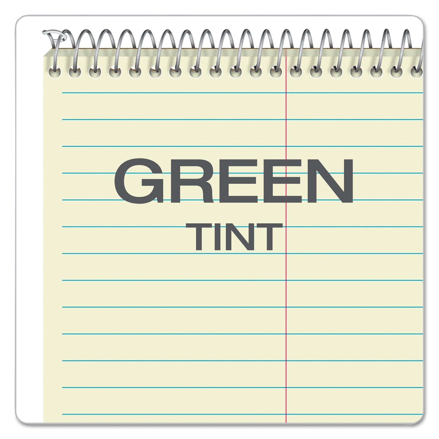 Ampad Steno Pads, Gregg Rule, Green Cover, 80 Green-Tint 6 x 9 Sheets, 6/Pack