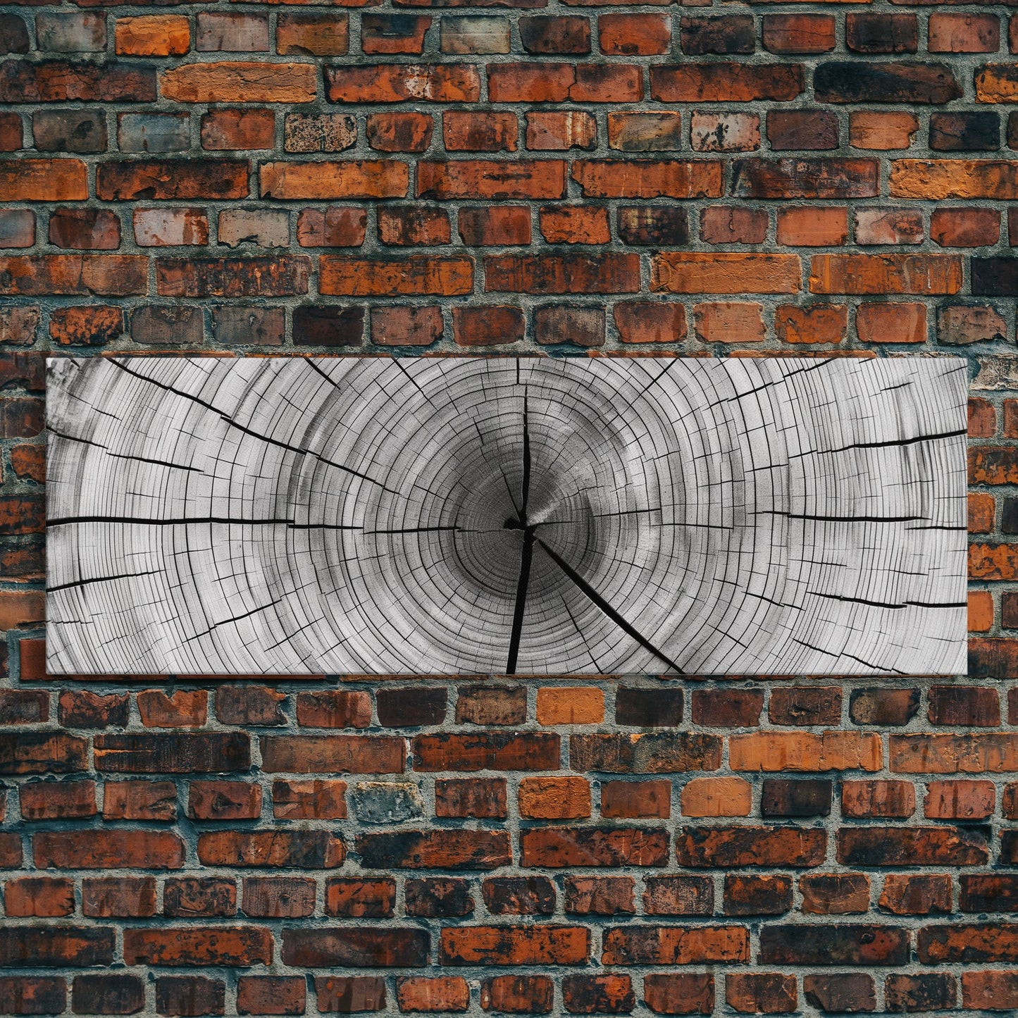 Tree Ring Print, Tree Ring Art, Framed Canvas Print Wall Art, Trree Rings,  Tree Stump Print, Tree Rings Wall Art, Tree Of Life