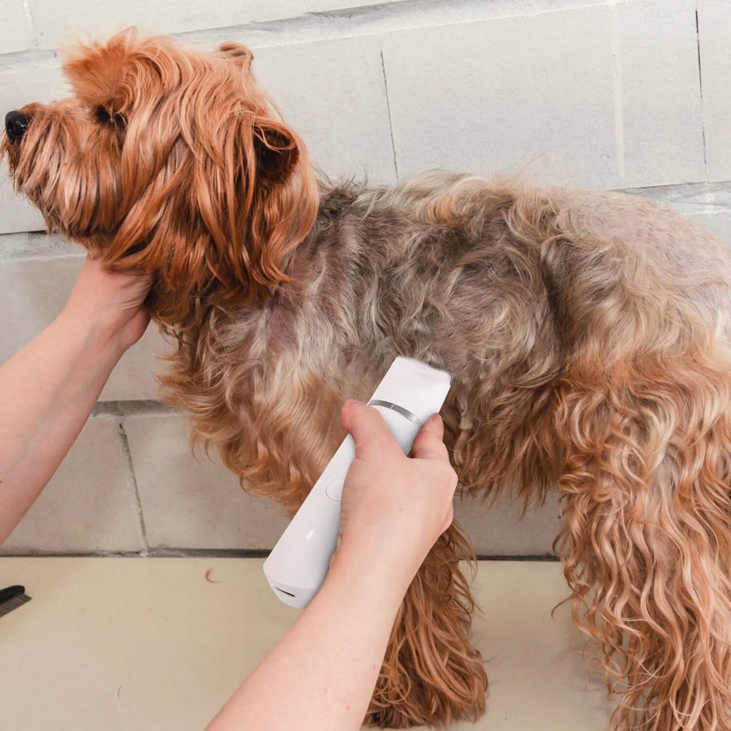4-in-1 Electric Pet Dog Cat Grooming Kit Cordless Rechargeable
