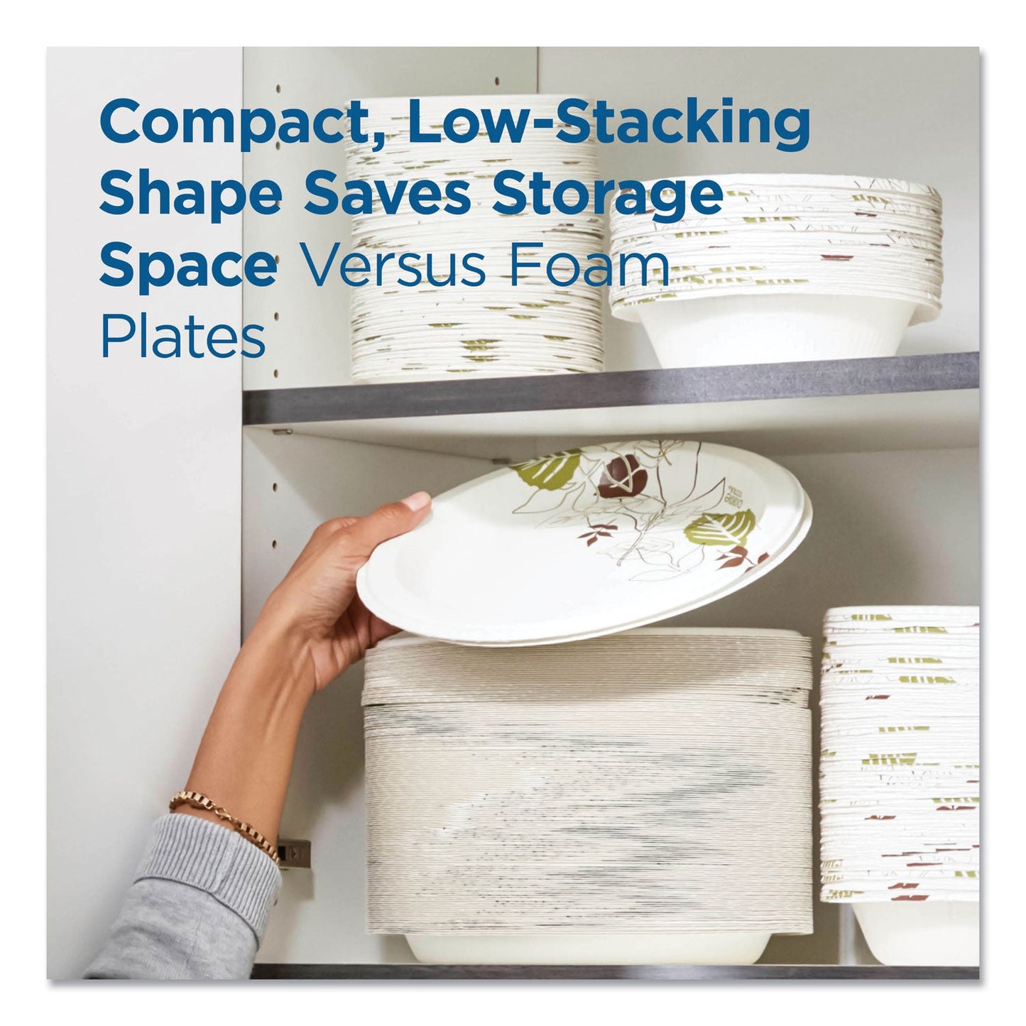 Dixie Pathways Soak Proof Shield Heavyweight Paper Plates, WiseSize, 8.5" dia, Green/Burgundy, 500/Carton