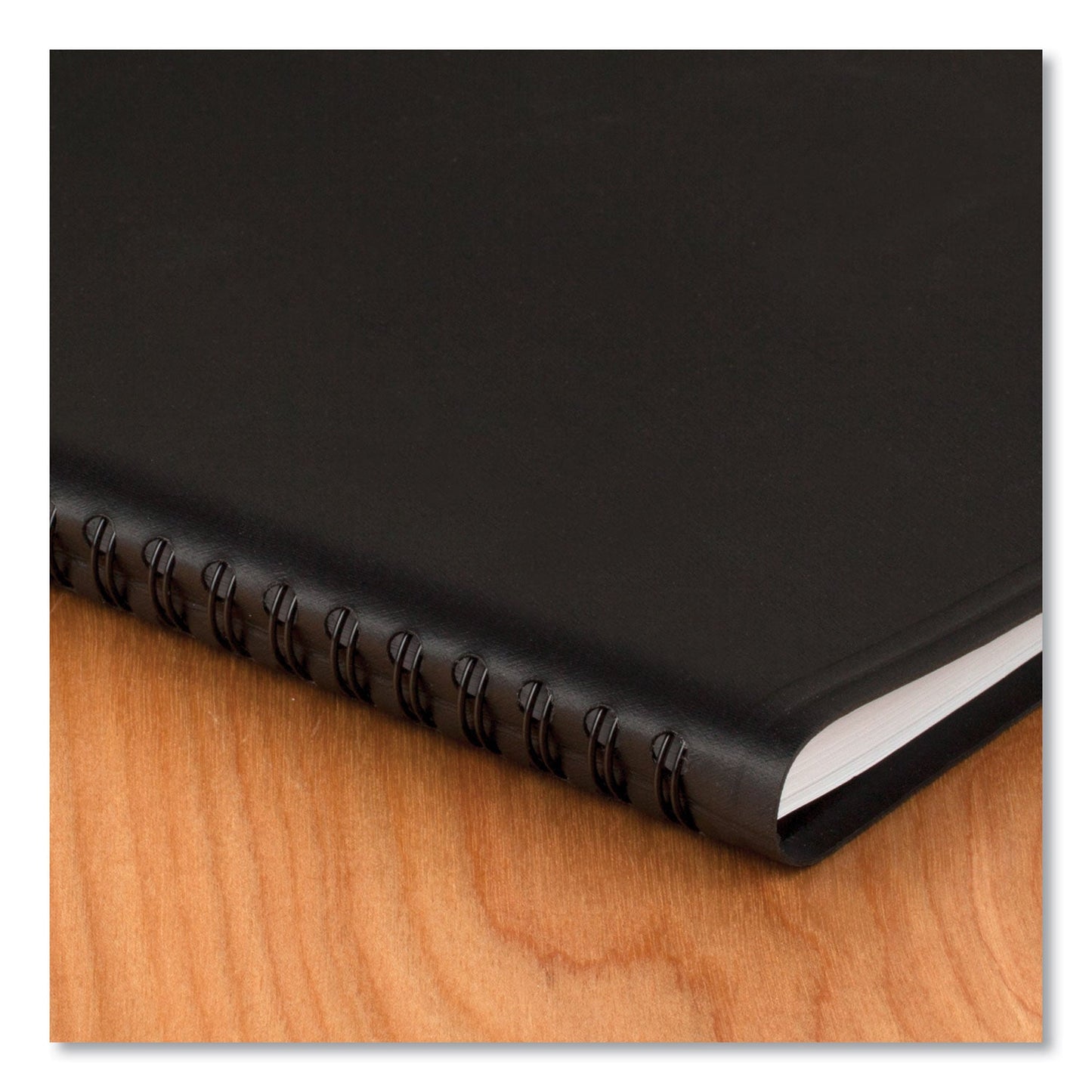AT-A-GLANCE 24-Hour Daily Appointment Book, 8.75 x 7, Black Cover, 12-Month (Jan to Dec): 2023