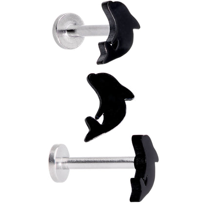 16G 5/16 Leaping Dolphins Labret Monroe Tragus Set of 4