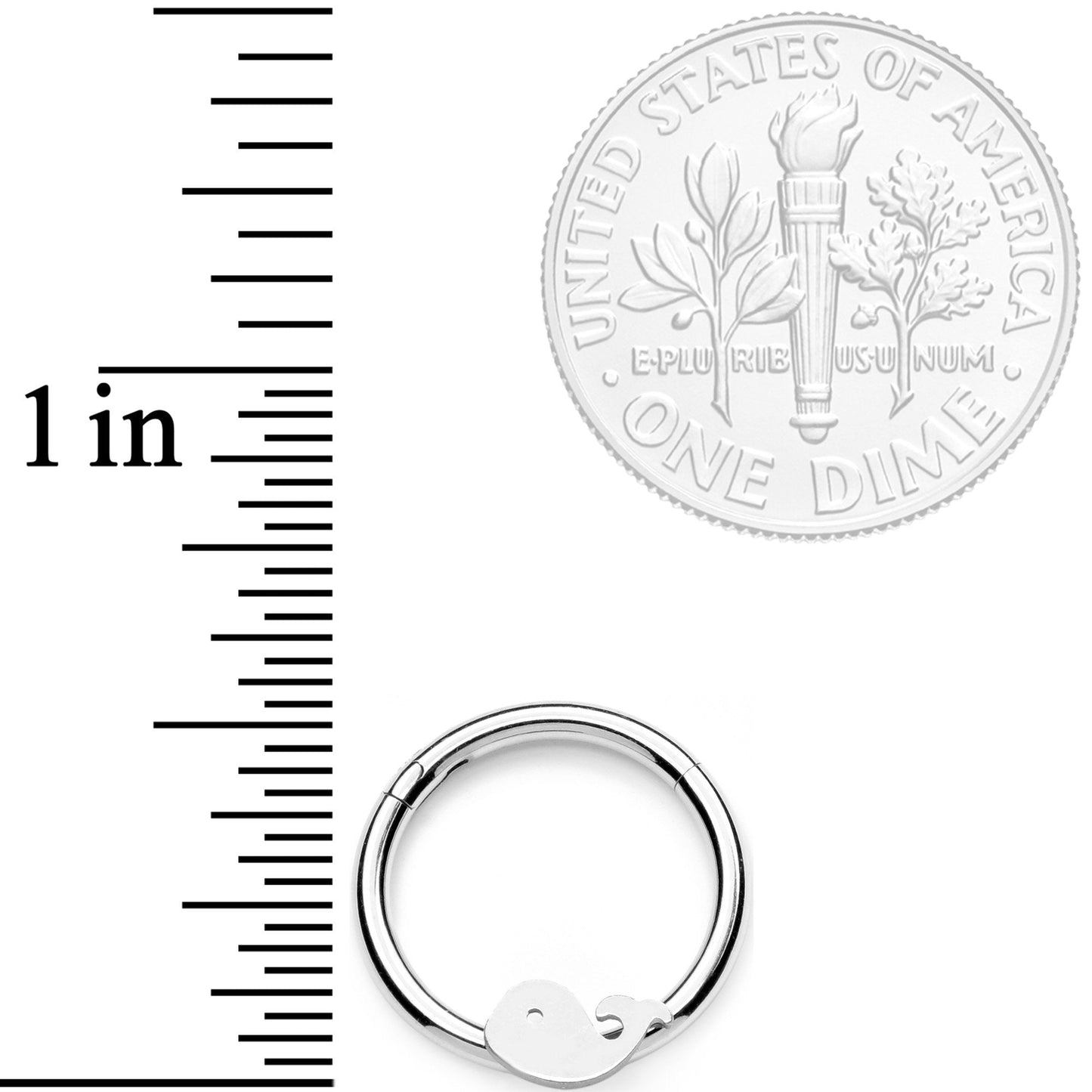 16G 3/8 Whale of a Hinged Segment Ring