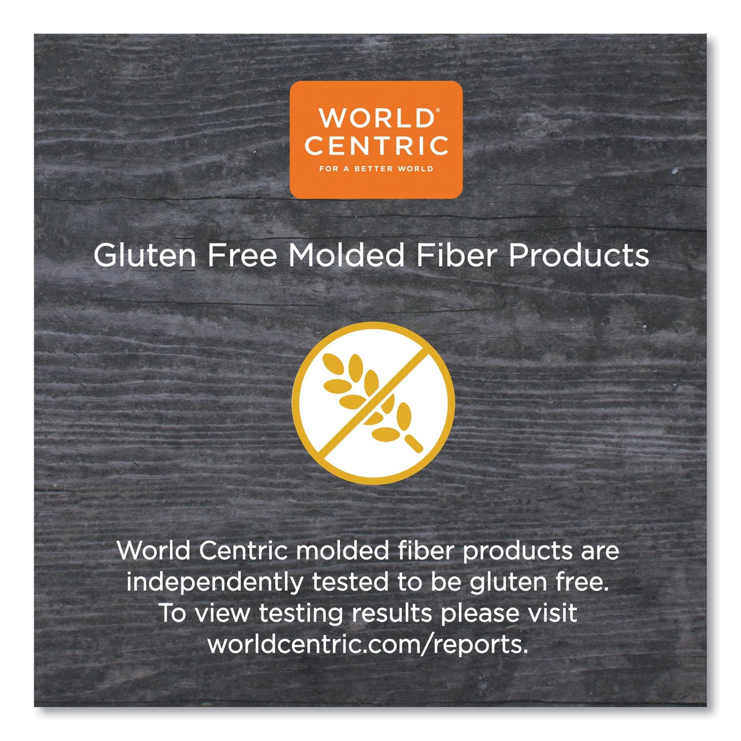 World Centric Fiber Trays, PLA Lined, PFAS Free, 1-Compartment, 18 x 14 x 1, Natural, Paper, 100/Carton