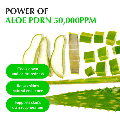 EQQUALBERRY Aloe PDRN Calming Serum