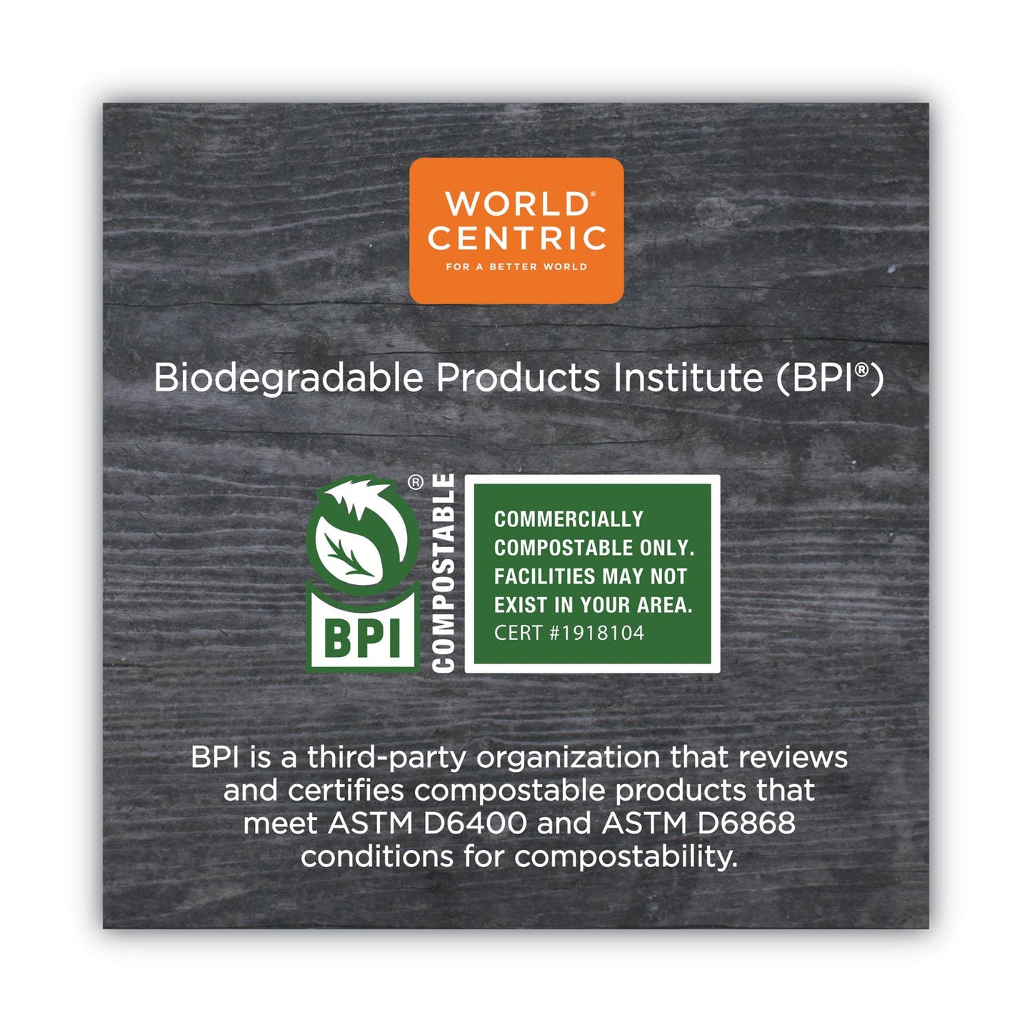 World Centric TPLA Compostable Cutlery, Spoon, 6", White, 750/Carton