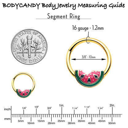 16G 3/8 Gold Tone Watermelon Bite Hinged Segment Ring