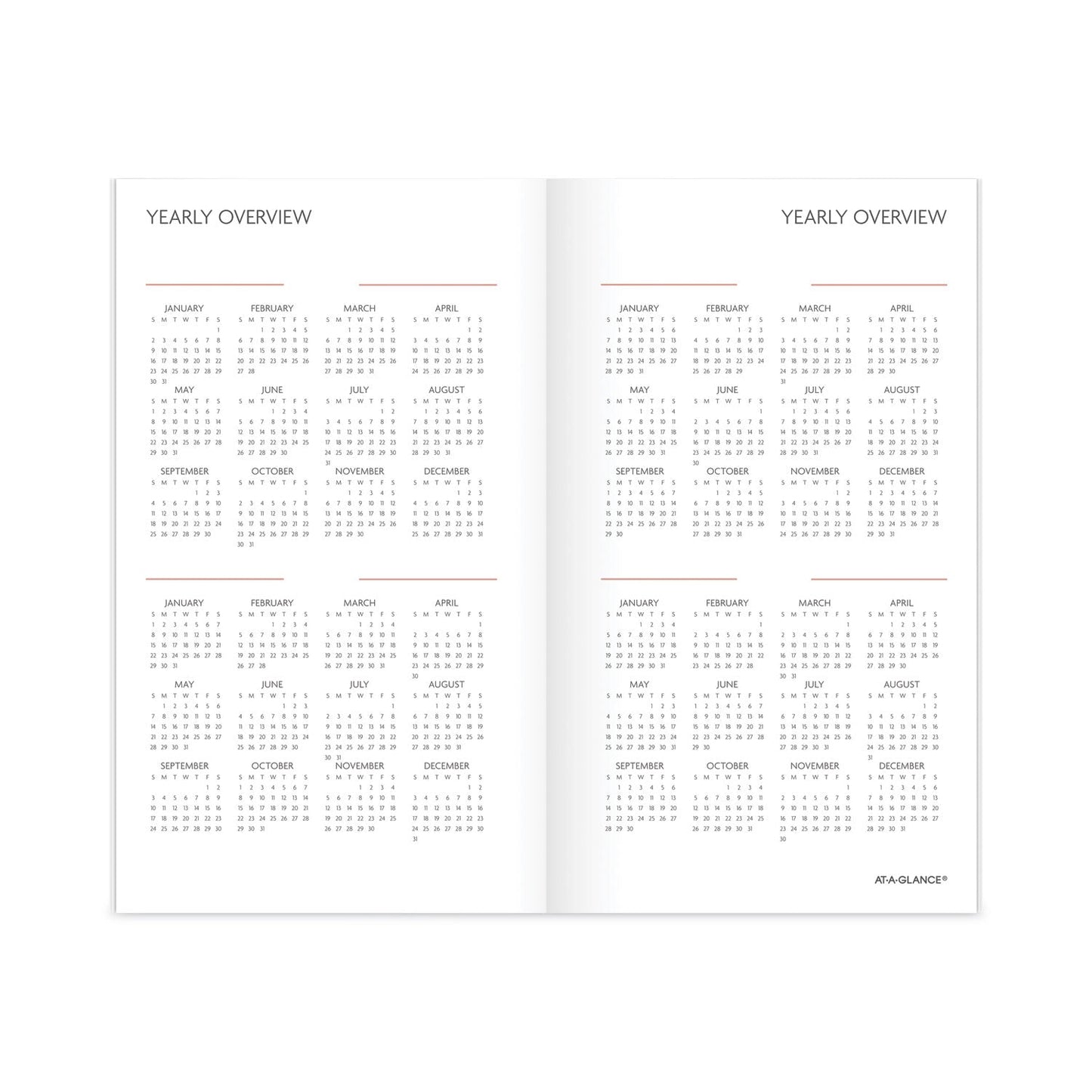 AT-A-GLANCE Badge Floral Two-Year Monthly Planner, Badge Floral Artwork, 6 x 3.5, Blue/Green Cover, 24-Month (Jan to Dec): 2023 to 2024