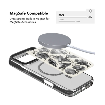 Coastal Curiosities | Seashell Sketch iPhone Case