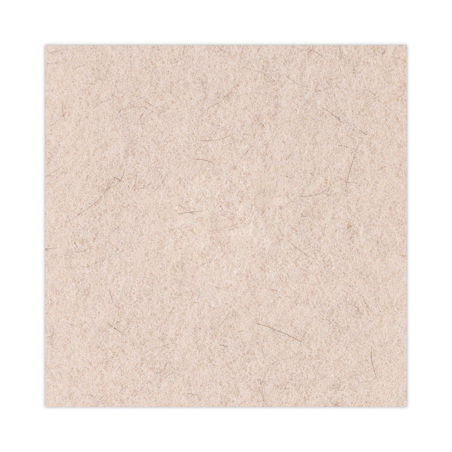 Boardwalk Natural Hog Hair Burnishing Floor Pads, 20" Diameter, Tan, 5/Carton