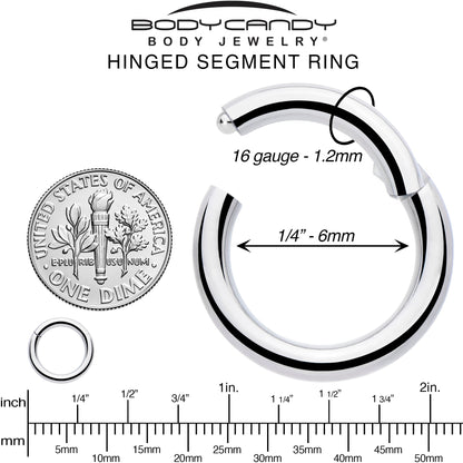 16G 1/4 316L Surgical Steel Precision Hinged Segment Hoop