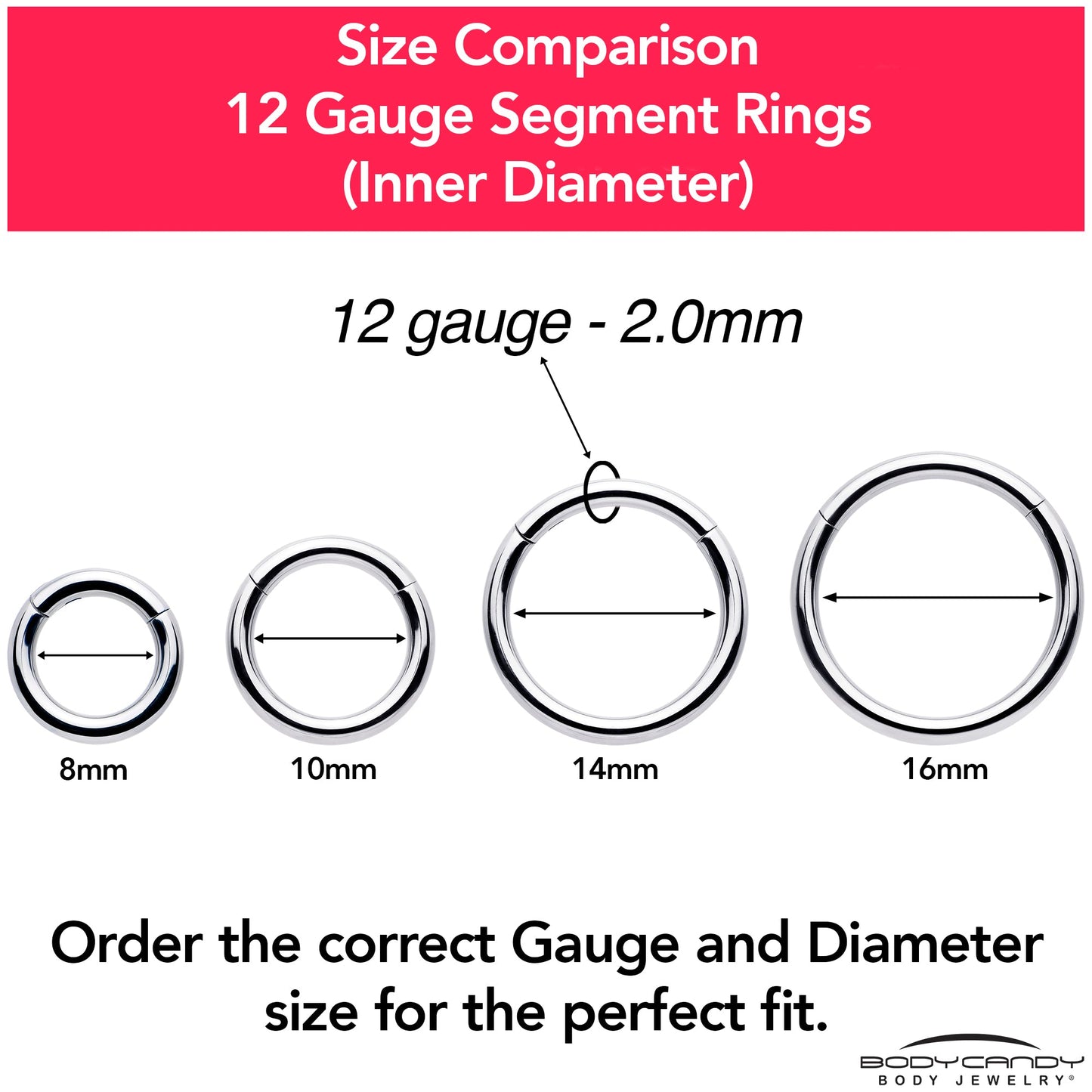 12G 5/16 316L Surgical Steel Precision Hinged Segment Hoop