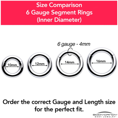 6G 9/16 316L Surgical Steel Precision Hinged Segment Hoop