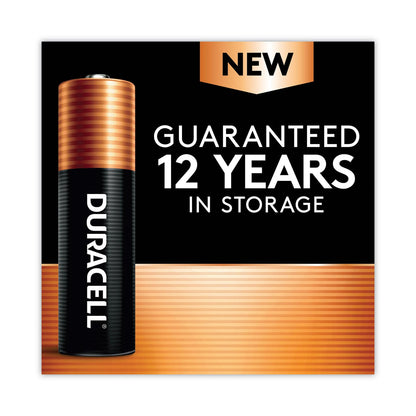 Duracell Power Boost CopperTop Alkaline AA Batteries, 2/Pack