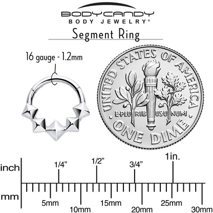16G 5/16 3D Punk Style Hinged Segment Ring