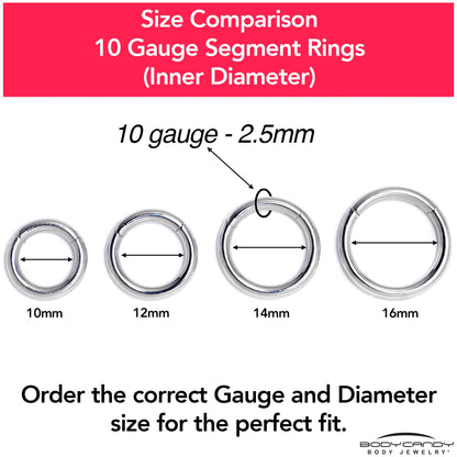 10G 9/16 316L Surgical Steel Precision Hinged Segment Hoop