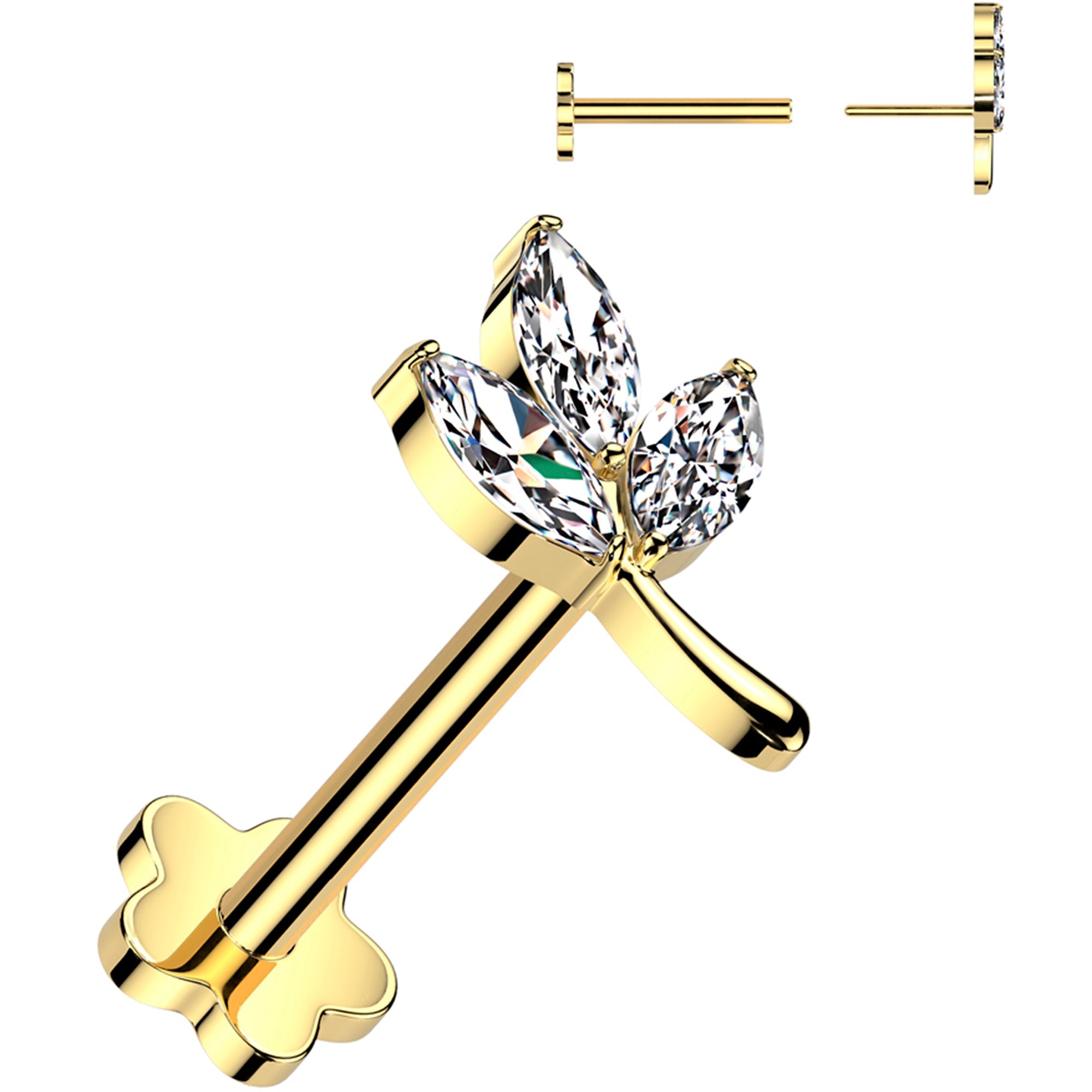 Selected Variant Image