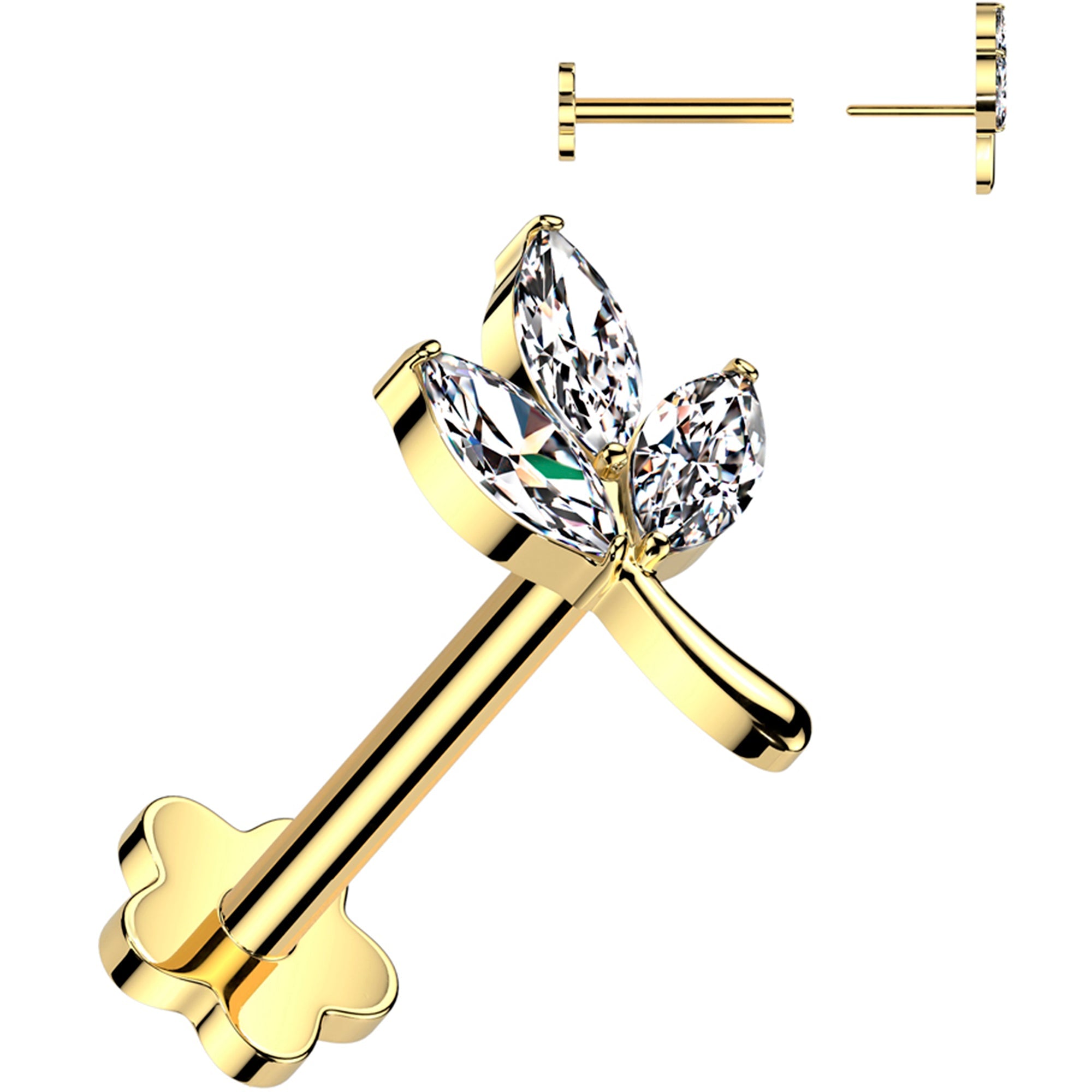 Selected Variant Image