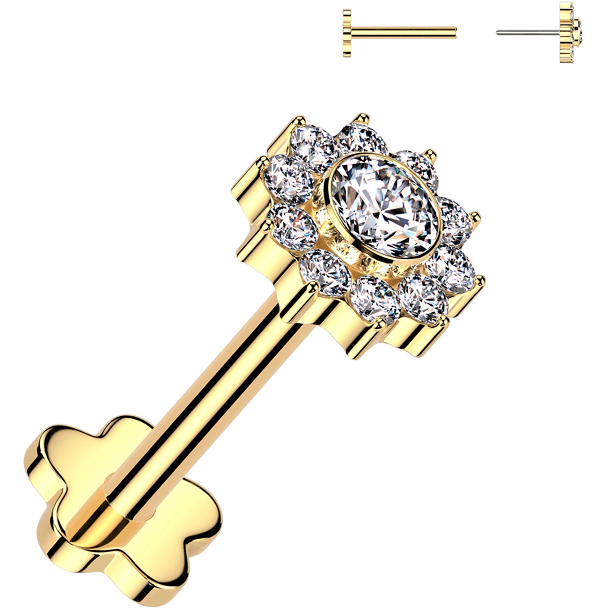 Selected Variant Image