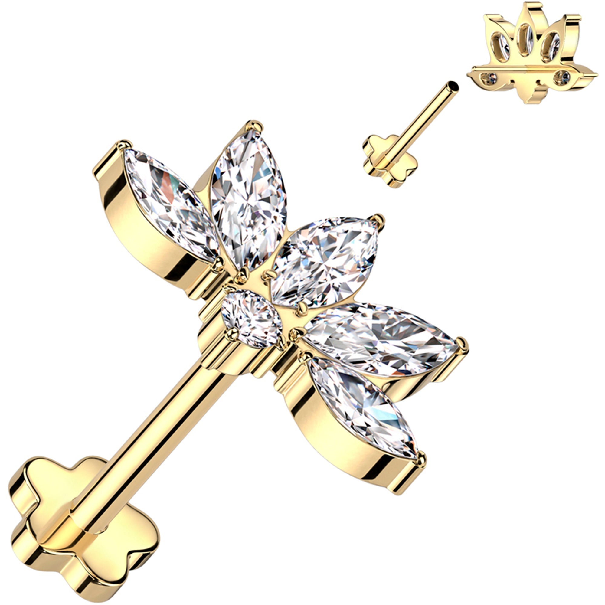 Selected Variant Image