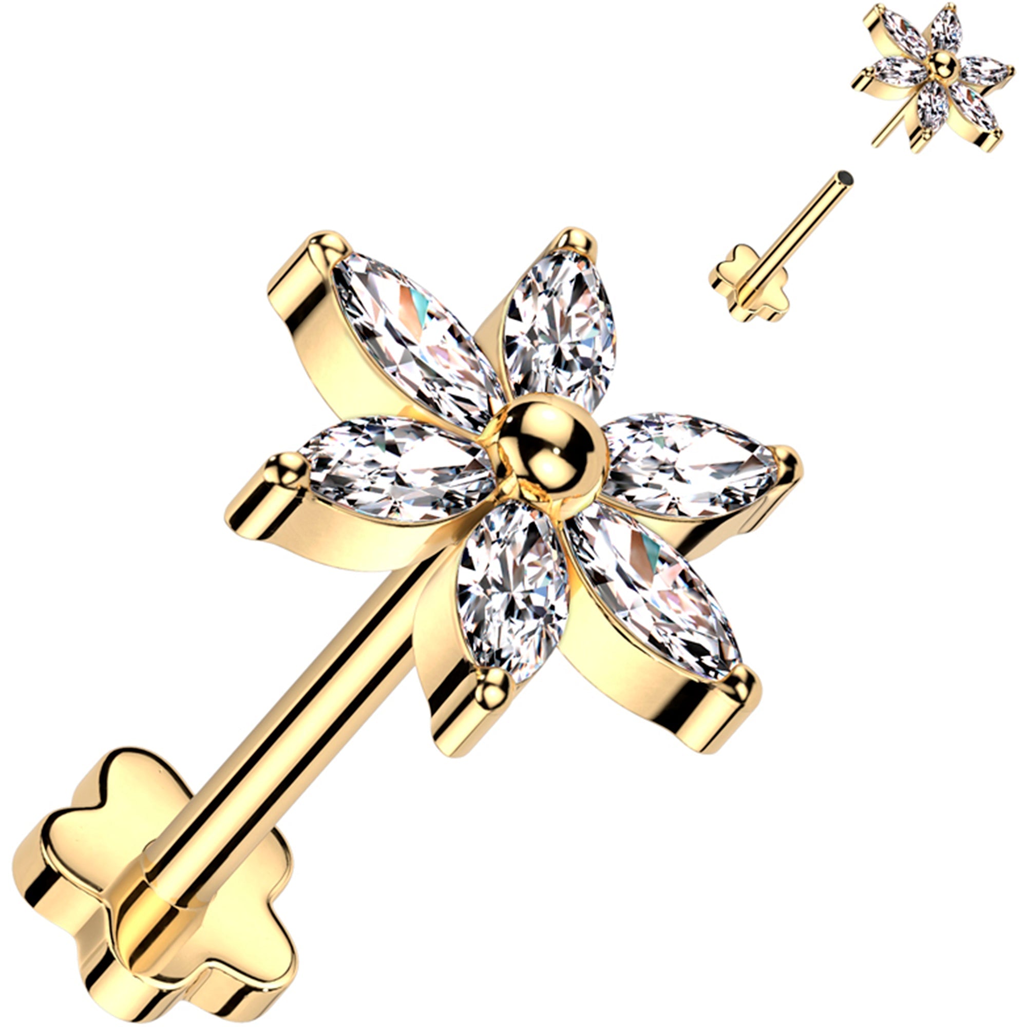 Selected Variant Image