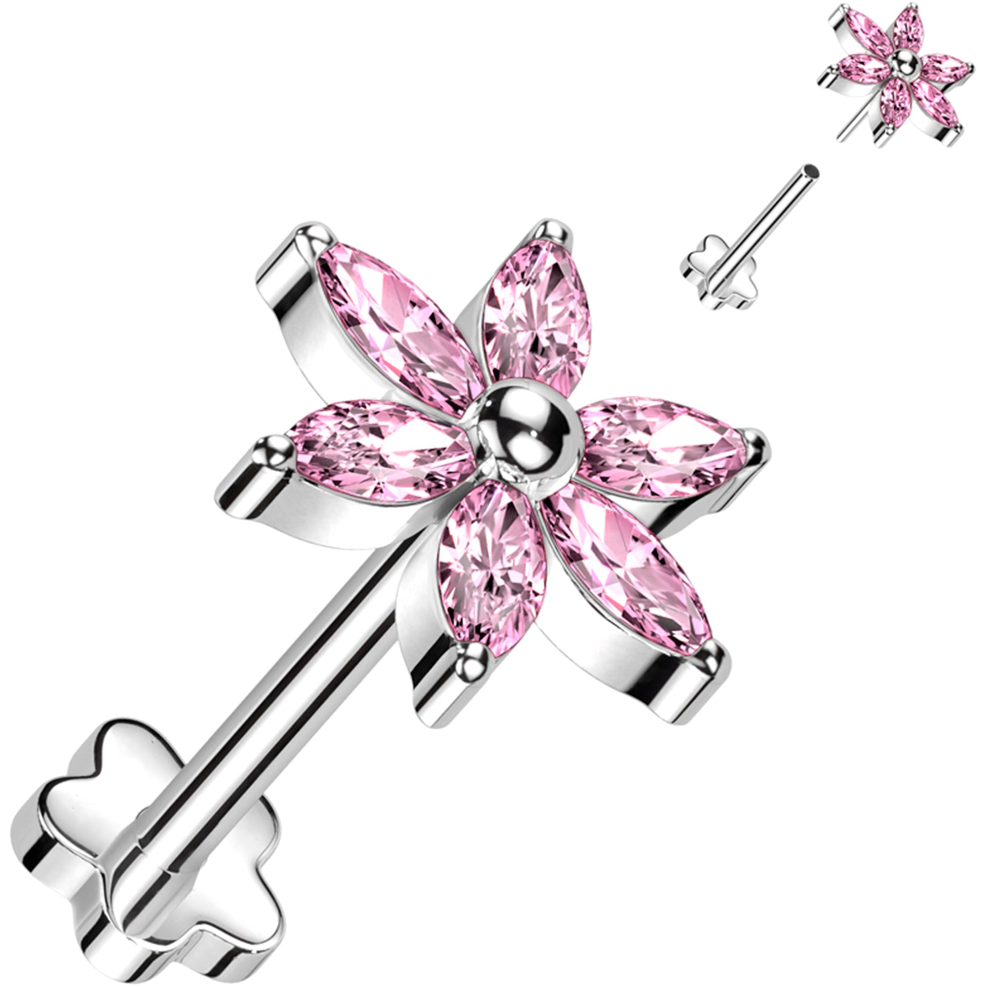 Selected Variant Image
