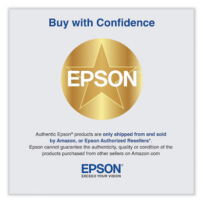 Epson T606100 (60) Ink, Photo Black