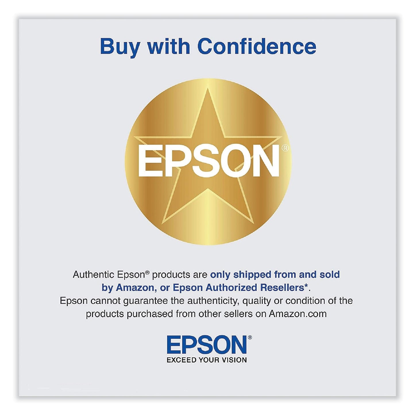 Epson T580900 UltraChrome K3 Ink, Light Light Black