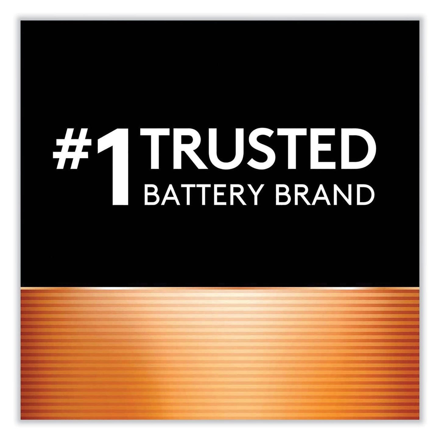 Duracell CopperTop Alkaline D Batteries, 2/Pack