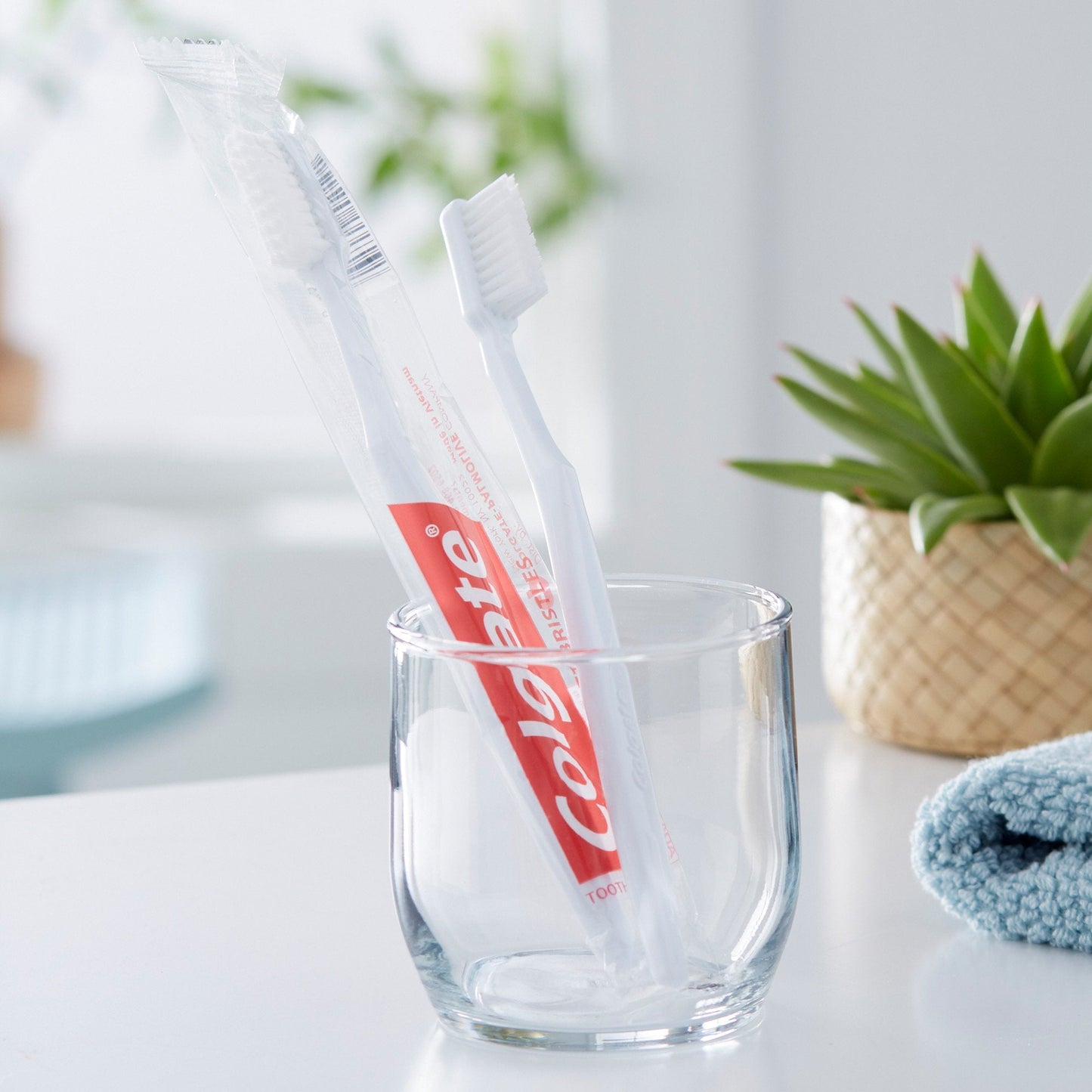 Colgate® Toothbrush 61034595
