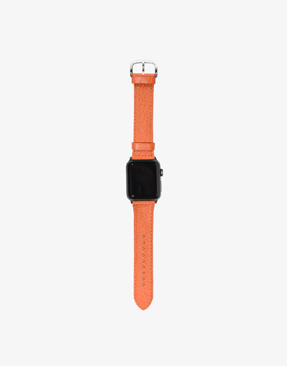 Sustainable Leather Apple Watch Bands