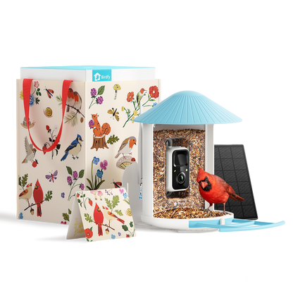 Birdfy Smart Feeder -  Limited Father's Day Gift Set