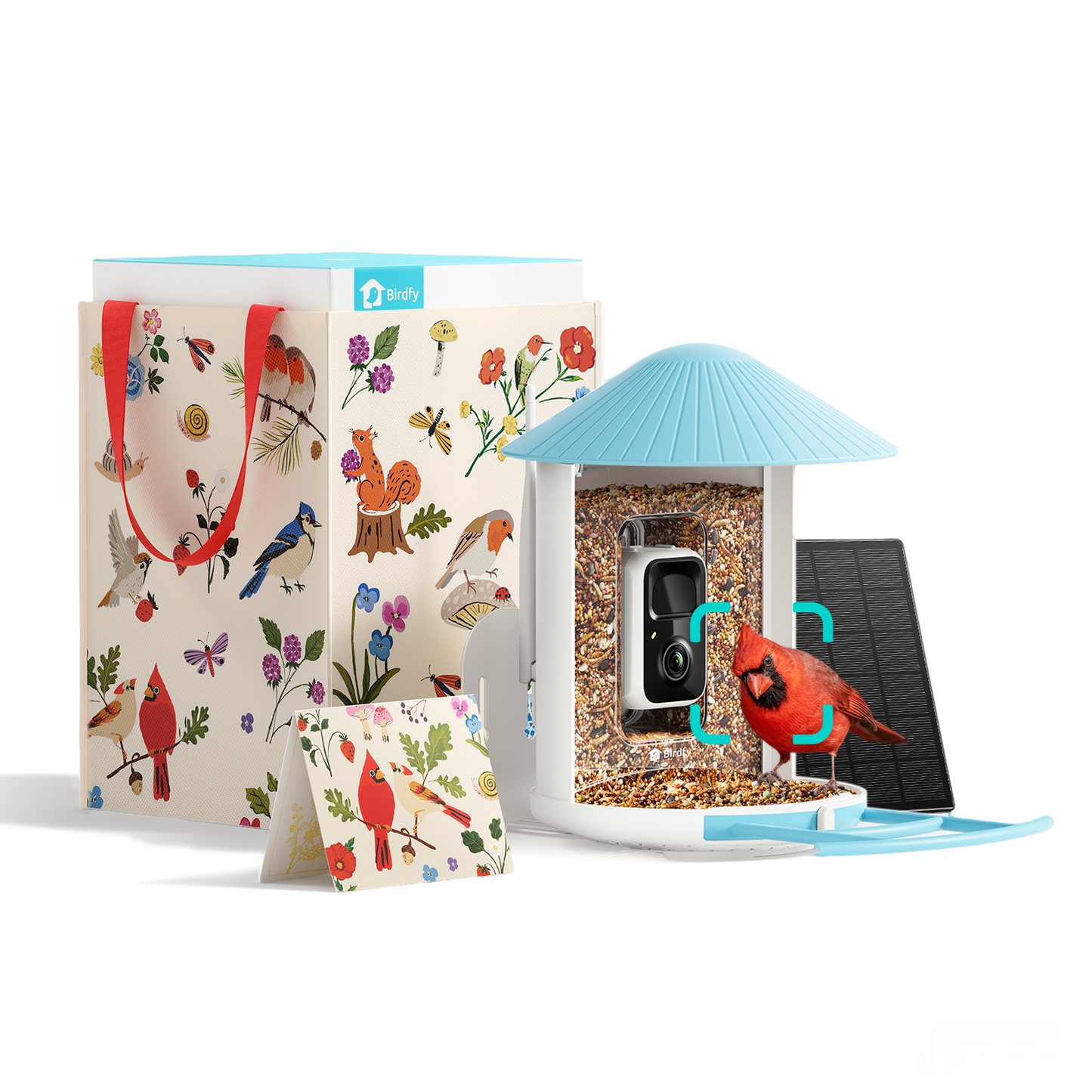 Birdfy Smart Feeder -  Limited Father's Day Gift Set