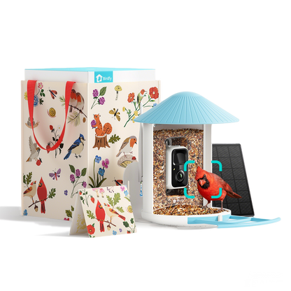 Birdfy Smart Feeder -  Limited Father's Day Gift Set