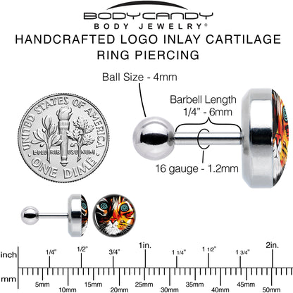 16G 1/4 Colorful Trippy Cat Cartilage Tragus Earring by Onyx O
