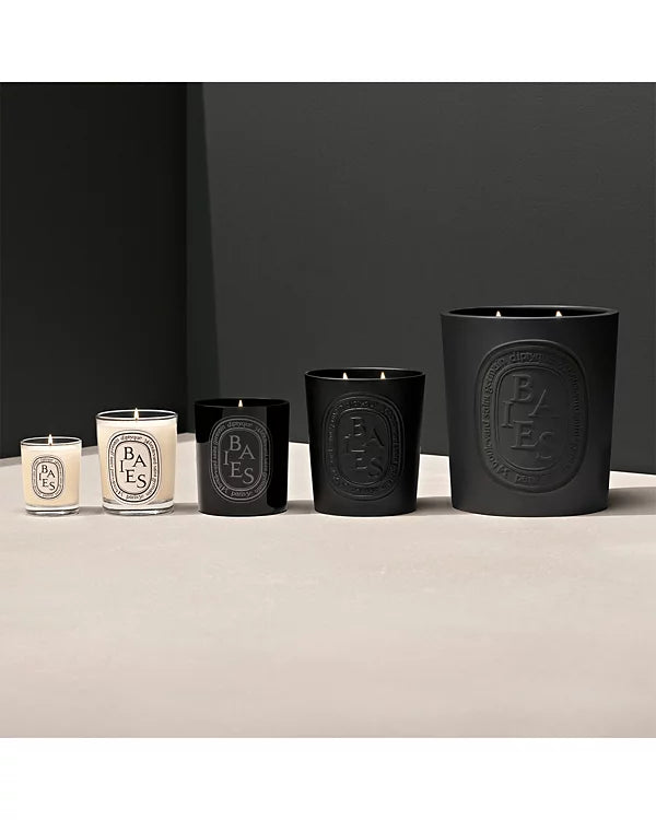 DIPTYQUE Baies (Berries) Scented Candle