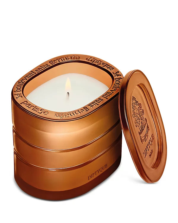 DIPTYQUE Terres Blondes (Golden Lands) Refillable Scented Candle 9.5 oz