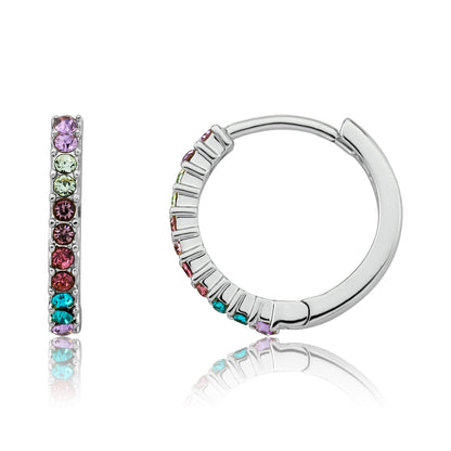 Medium Sized Crystal Huggy Earring
