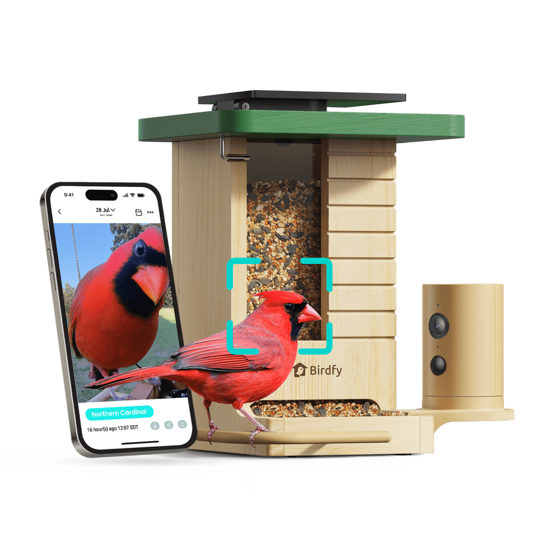 Birdfy Feeder Wood - Wooden Smart Bird Feeder with Camera