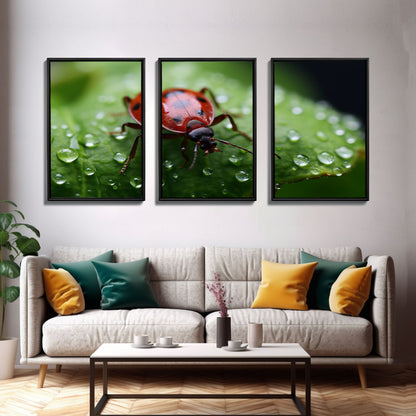 Insect Art Print, Nature Art, Lady Bug Wall Art, Canvas Print, Wall Art, 3 Piece Wall Art, Country Home Wall Art, Apartment Wall Decor