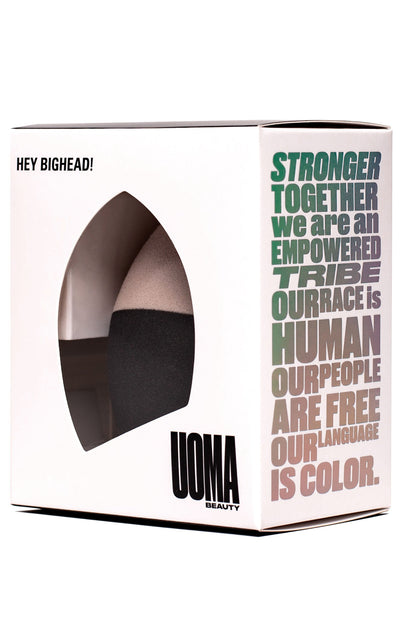 BH Dual-Density Sponge