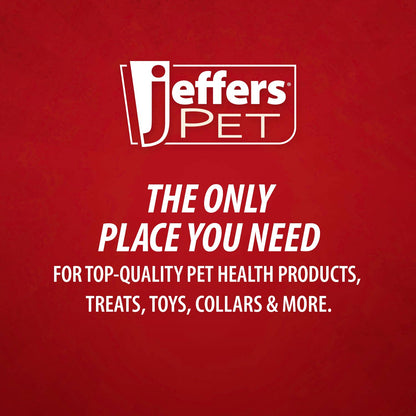 Jeffers Red Hockey Puck Natural Rubber Treat Dispensing Dental Dog Chew Toy