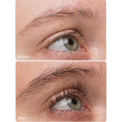 Lash & Brow Wonder Bundle
